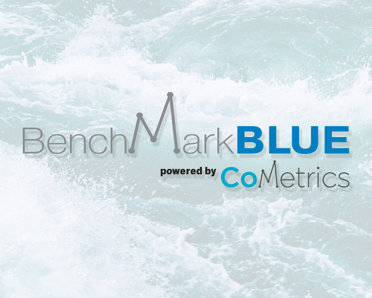Benchmark BLUE