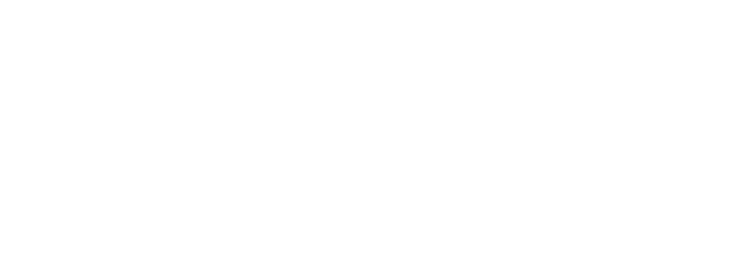 AirForce Logo White