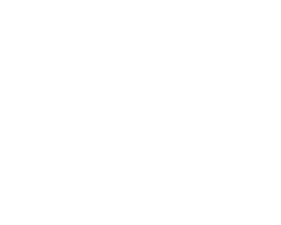 Fiserv_formerly Cardconnect_white
