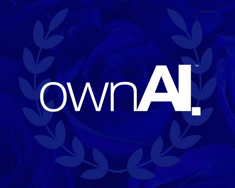 Putting AI To Work: Practical AI for HAVCR