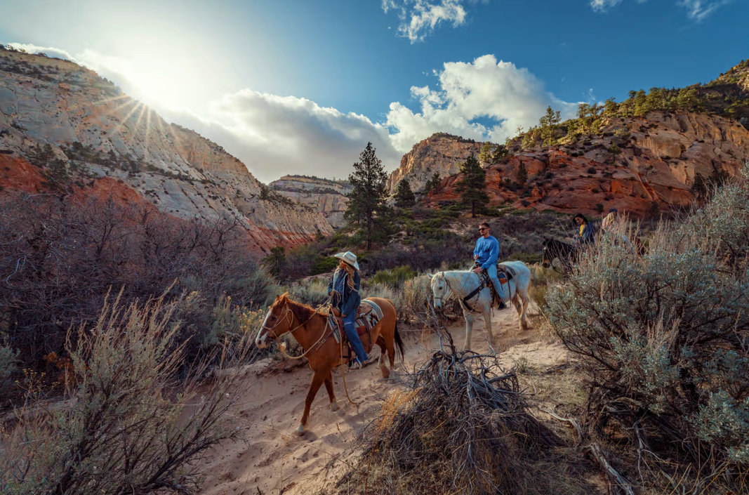 Horses